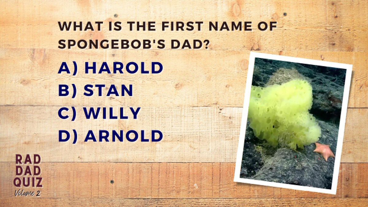 Rad Dad Quiz - Volume 2 image number null